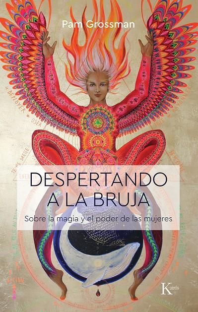 DESPERTANDO A LA BRUJA | 9788499887586 | GROSSMAN, PAM