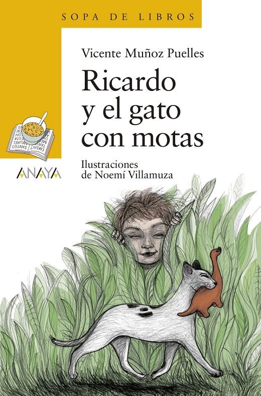 RICARDO Y EL GATO CON MOTAS | 9788469848272 | MUÑOZ PUELLES, VICENTE