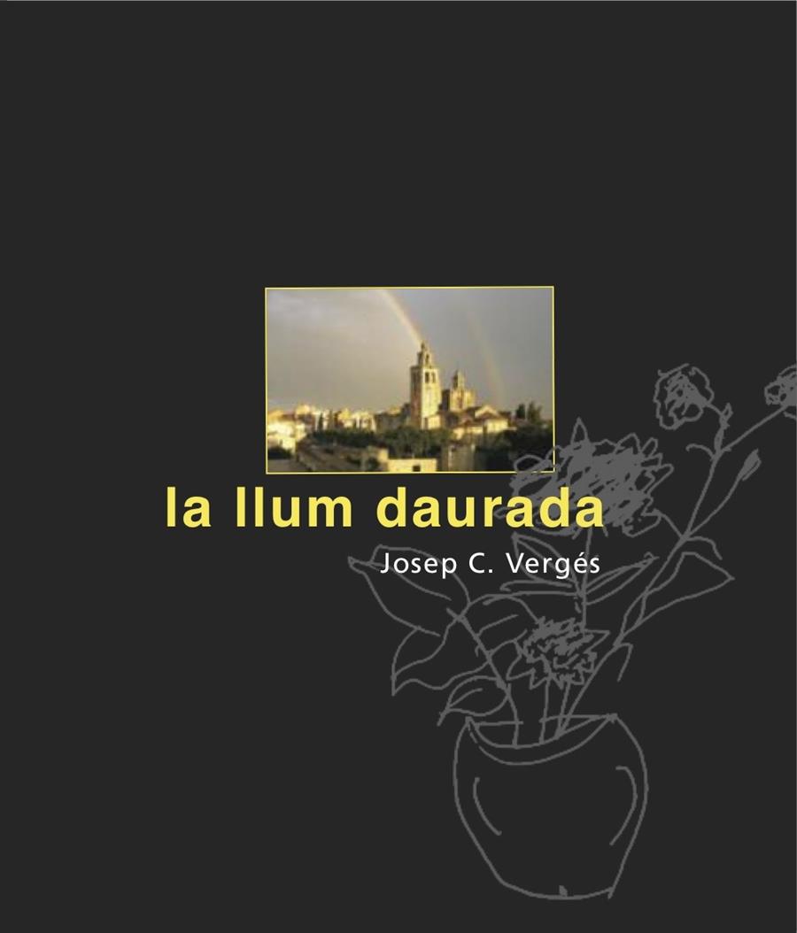 LA LLUM DAURADA | 9788492607990 | VERGÉS, JOSEP