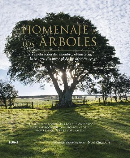 HOMENAJE A LOS ÁRBOLES | 9788416138562 | KINGSBURY, NOEL/JONES, ANDREA