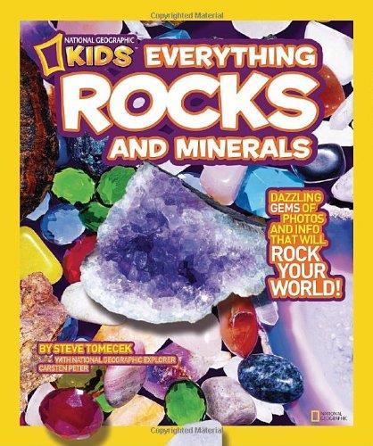 NGK EVERYTHING ROCKS & MINERALS | 9781426307683