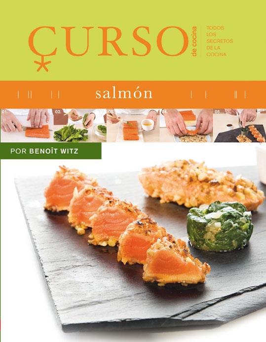 SALMON CURSO DE COCINA | 9788496669437 | WITZ B