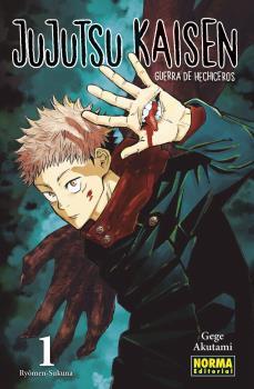 JUJUTSU KAISEN 01 | 9788467940657 | AKUTAMI, GEGE