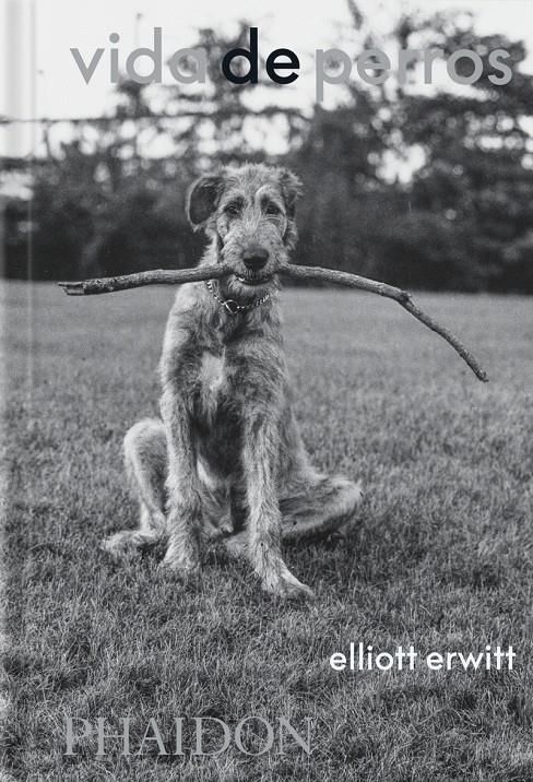 VIDA DE PERROS | 9781838669744 | ERWITT, ELLIOTT/WODEHOUSE, P.G