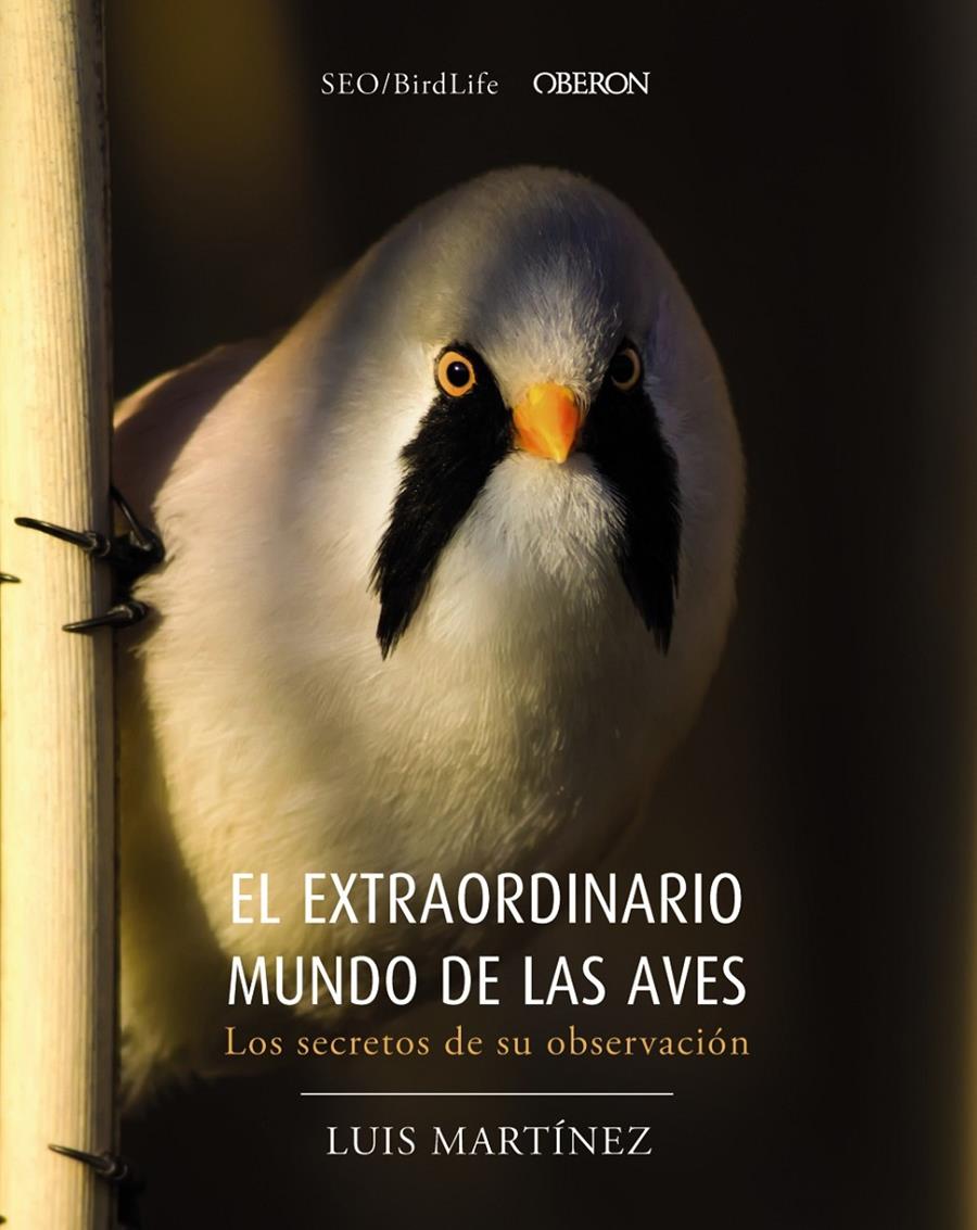 EL EXTRAORDINARIO MUNDO DE LAS AVES. LOS SECRETOS DE SU OBSERVACIÓN | 9788441540330 | SOCIEDAD ESPAÑOLA DE ORNITOLOGÍA