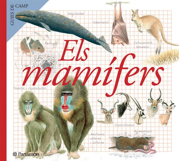 ELS MAMIFERS | 9788434228368 | JULIVERT ZAMARREÑO, ÀNGELS