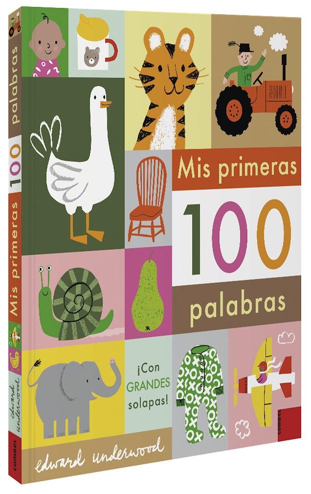 MIS PRIMERAS 100 PALABRAS | 9788491015949 | EDWARD UNDERWOOD