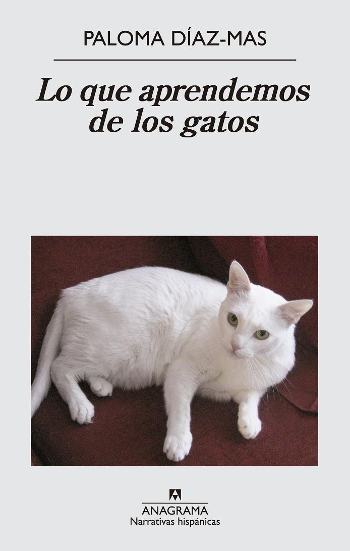 LO QUE APRENDEMOS DE LOS GATOS | 9788433997807 | DÍAZ MAS, PALOMA