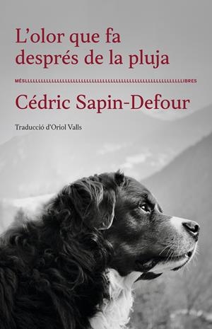 L'OLOR QUE FA DESPRÉS DE LA PLUJA | 9788417353568 | CÉDRIC SAPIN-DEFOUR